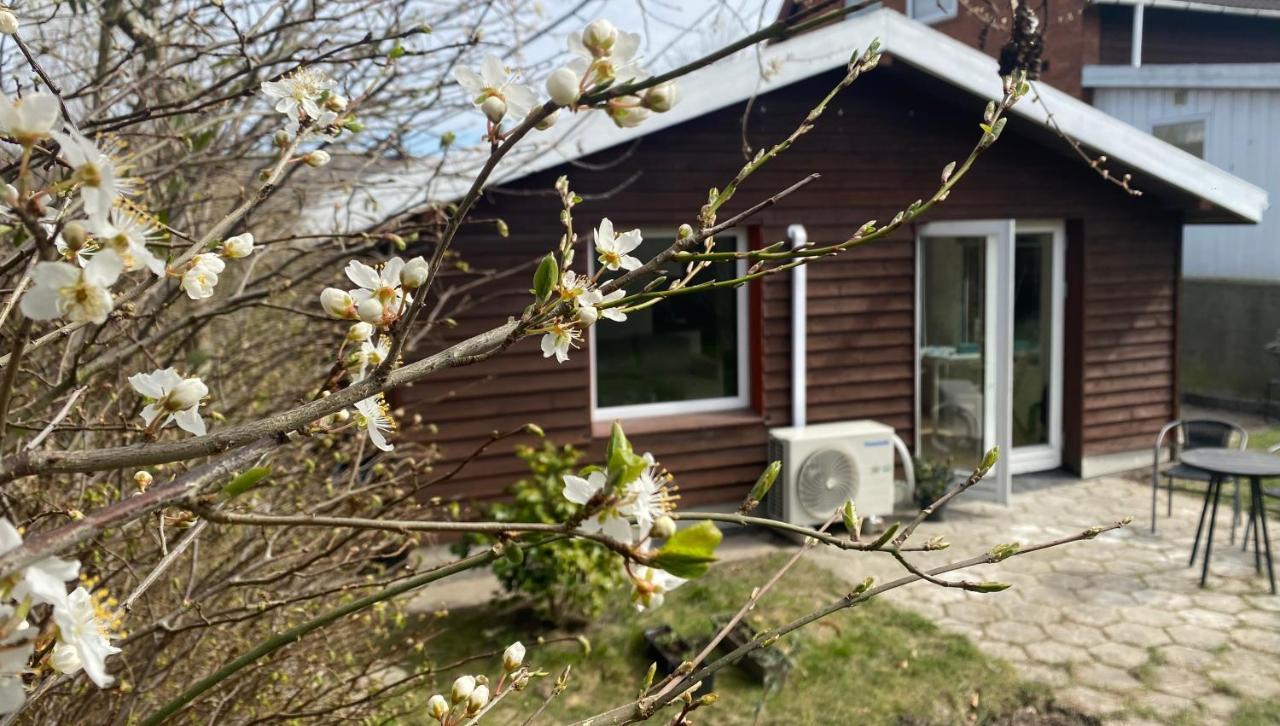 Villa Cozy House With A Graden View Herlev Kommune Exterior foto